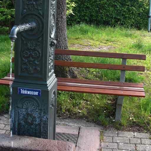 Foto des Brunnens "Schweizerbrunnen Rotensol"