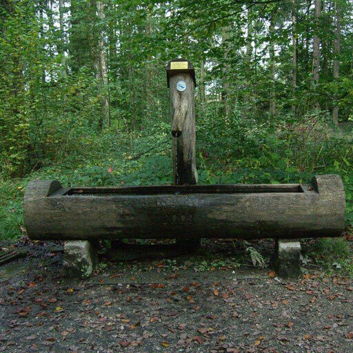 Foto des Brunnens "Litzelstetten"