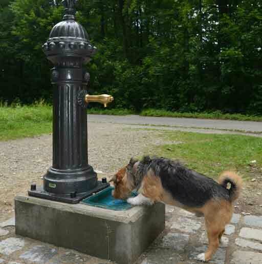 Foto des Brunnens "Trinkbrunnen Ilsungstraße "Bei den sieben Tischen""